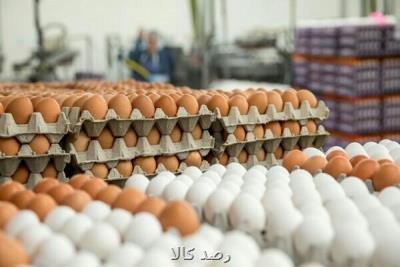 هشدار درباره كاهش تولید تخم مرغ در ماه های آتی