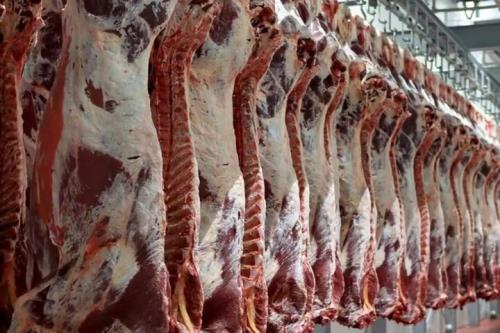 آیا بازار گوشت قرمز در 3ماه آینده ساماندهی می شود؟