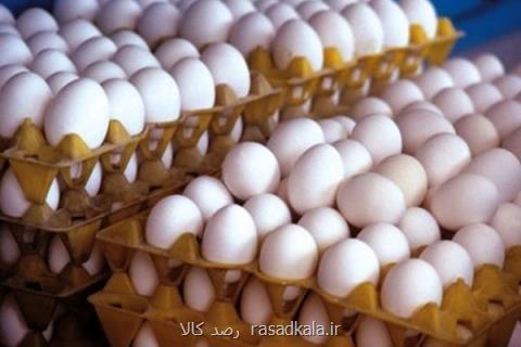 سرانه مصرف تخم مرغ به ۱۹۸ عدد در سال افزایش یافت