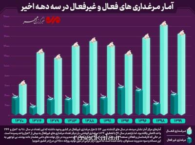 مرغ چرا گران شد؟