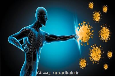 چگونه سیستم ایمنی بدن را به سرعت تقویت کنیم؟ معرفی 6 روش کارآمد