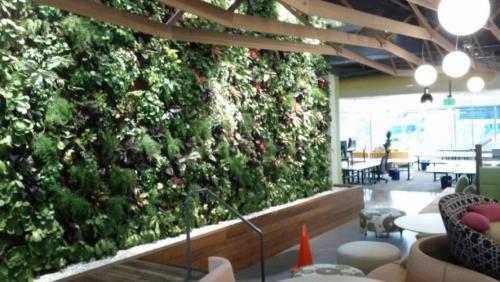 دلایل استفاده از گیاهان مصنوعی در دیوار سبز