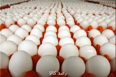 تخم مرغ ۱۳ هزار تومان گران گردید