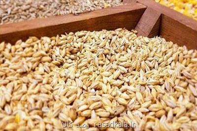خرید ۱۵۰۰ تن گندم در گرمسار
