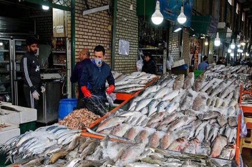قیمت انواع ماهی پنج شنبه شانزدهم تیرماه 1401
