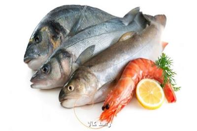 قیمت انواع ماهی و میگو 25 مردادماه 1401