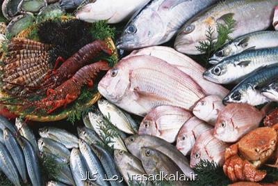 قیمت انواع ماهی و میگو ۱۷ شهریور ۱۴۰۱