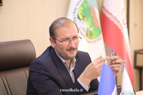 اختصاص یارانه واردات علوفه به مراتع مشکل گوشت را حل می کند