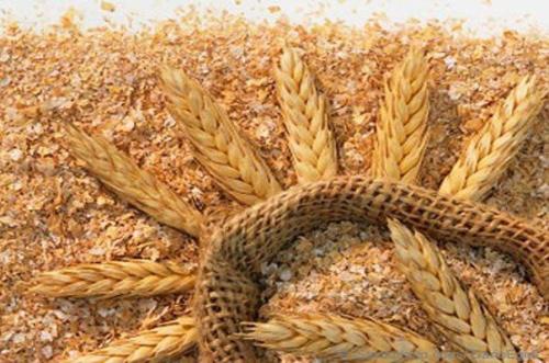 قیمت سبوس گندم آزاد شد