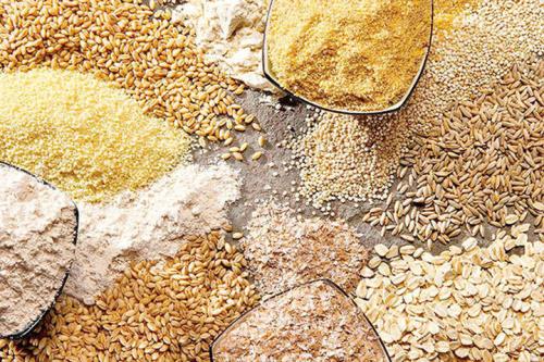 آقای رئیس جمهور! تأخیر پرداخت ارز نهاده های دامی 9 ماهه شد