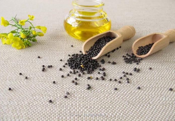 ایران در تولید دانه های روغنی ظرفیت خودکفایی دارد
