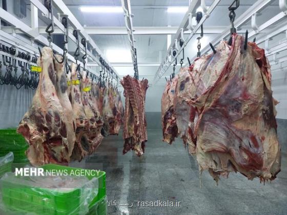 روز ملی دامپزشکی از وضعیت ارتقا کیفیت تا تضمین سلامت محصولات دامی
