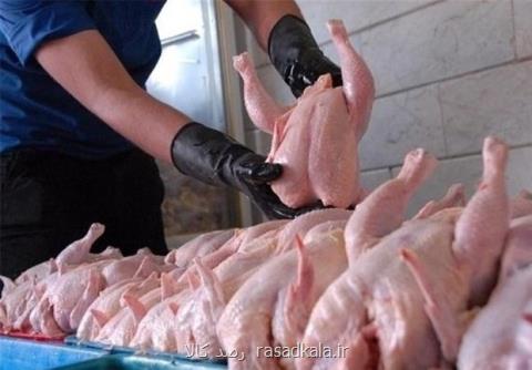 انتقاد از تصویب قیمت ۹۸۰۰تومانی برای مرغ، وزارت جهاد هم موافق نیست
