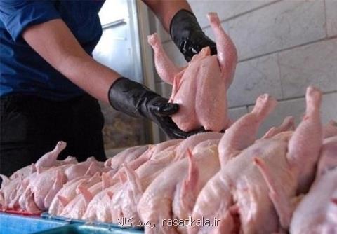 افزایش تقاضا عامل گرانی مرغ، مردم نه گوشت می توانند بخرند نه ماهی