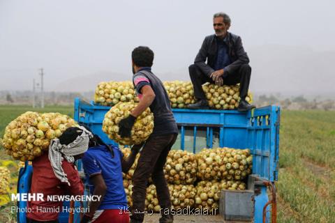 افزایش ۴۶۰ درصدی قیمت پیاز، سیب زمینی ۲۰۷ درصد گران گردید