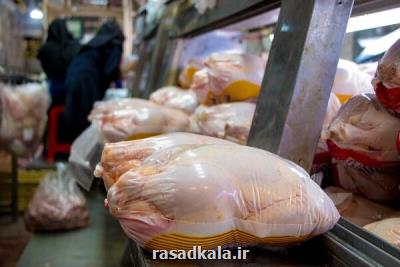 گوشت مرغ در میادین میوه و تره بار ۷۰۰ تومان ارزان گردید