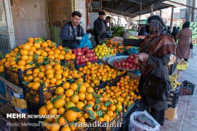 افتتاح 8 بازار جدید میوه و تره بار در پایتخت